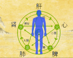 木生火