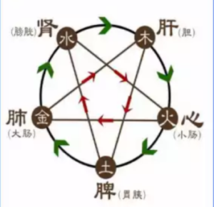 木生火