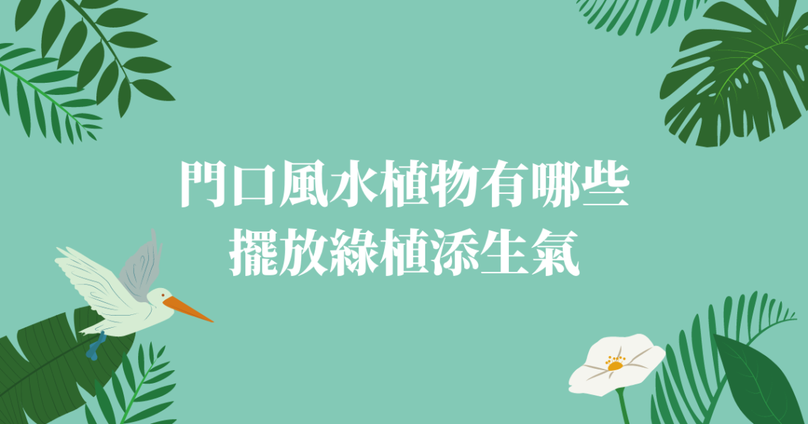 門口風水植物