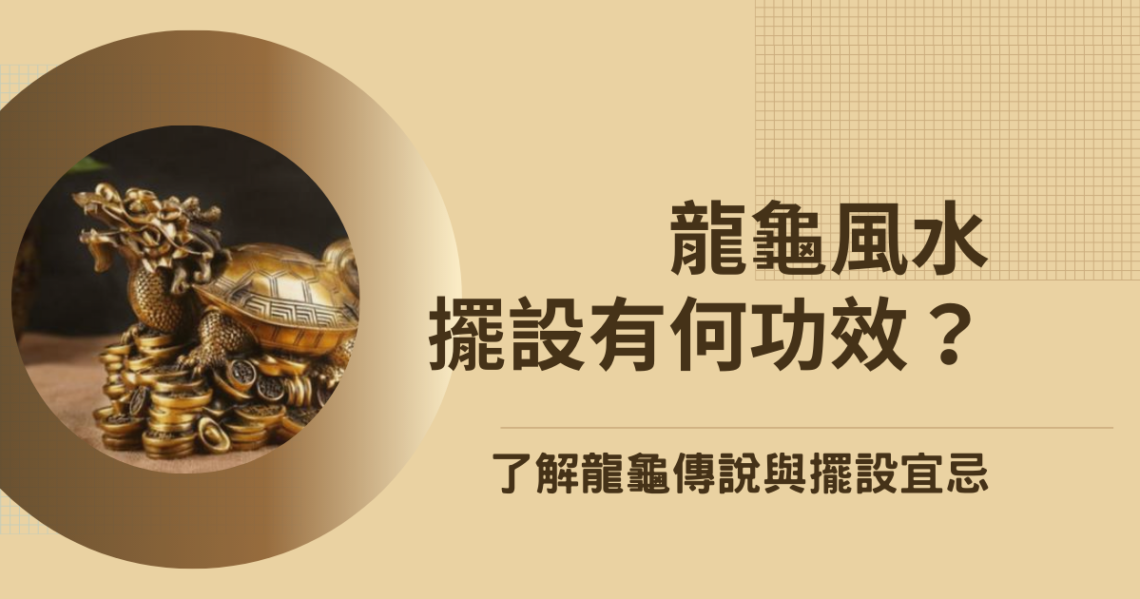 龍龜風水