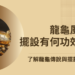 龍龜風水
