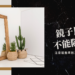 鏡子風水