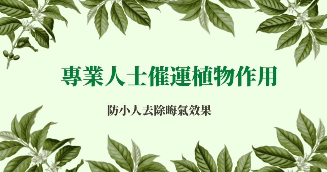 專業人士催運植物