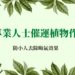 專業人士催運植物