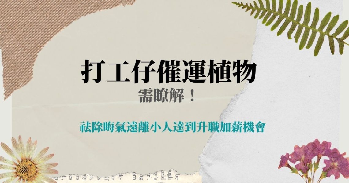 打工仔催運植物