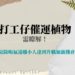 打工仔催運植物