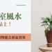 辦公室風水盆栽