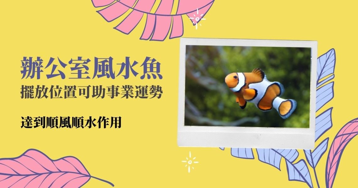 辦公室風水魚