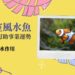 辦公室風水魚